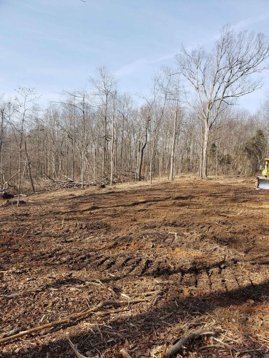 Kentucky Land Company